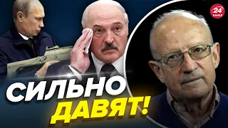 ❗❗Путин заставляет Лукашенко! ПИОНТКОВСКИЙ о визите Шойгу в Минск @Andrei_Piontkovsky