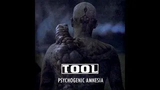 Tool - Psychogenic Amnesia (Full Album)