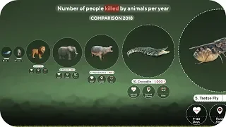 The World's Deadliest Animals | Comparison 🐍