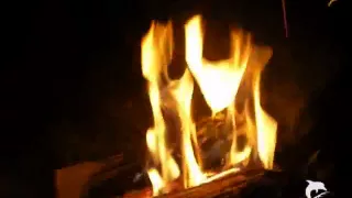 Plonie ognisko w lesie (nasza znajoma wersja) harcerska piosenka.