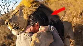 He Approached A Lion And Hugged Him, A Minute Later Something Unthinkable Happened...