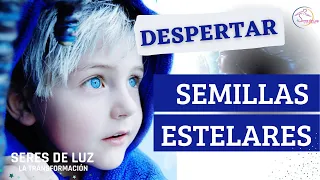 ✨DESPERTAR DE LAS SEMILLAS ESTELARES ✨Porque te sientes así✨ Características y tipos de semillas ✨