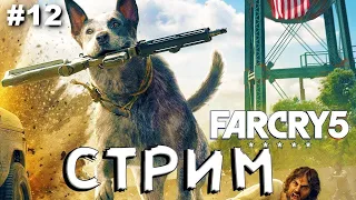 Стрим по Far cry 5. Проходим всё что вне сюжета. Часть 12