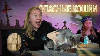 Убери кошку от младенца!!!МИСТИЧЕСКИЕ РАЗОБЛАЧЕНИЯ