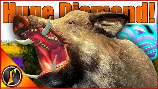 Huge Diamond Wild Boar + More on Cuatro Colinas! | theHunter Call of the Wild!
