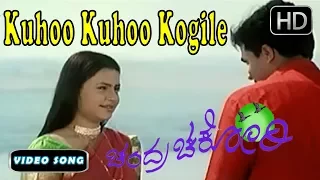 Kannada New Songs | Kuhoo Kuhoo Kogile | Chandra Chakori Movie | Hariharan, Chithra, S Narayan