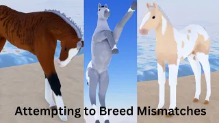 Attempting To Breed Mismatches - Wild Horse Islands