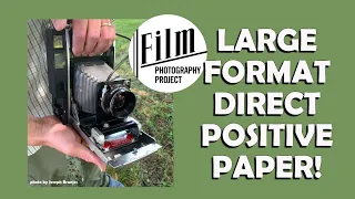 Large Format 4x5 (and 8x10) Direct Positive Paper!