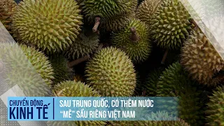 Thêm nước "mê" sầu riêng Việt Nam | Chuyển động kinh tế