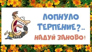 -Тебе плохо? .. просто  скажи : "Акуна Матата !"  Для настроения  прикольчик !