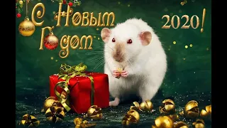 С Новым Годом 2020! Красивая Новогодняя Открытка! Год белой Крысы!