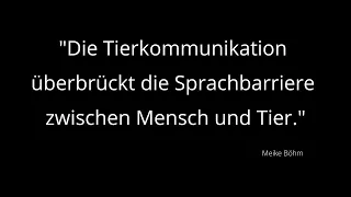 Tierkommunikation überbrückt die Sprachbarriere zwischen Mensch und Tier