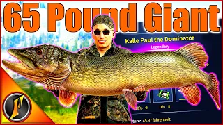 Catching the MASSIVE 65+ Pound Legendary Pike in Norway! | Location, Lure, & Tips!