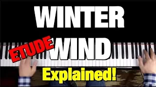 HOW TO PLAY - CHOPIN - ETUDE OP. 25 NO. 11 WINTER WIND  (PIANO TUTORIAL LESSON)