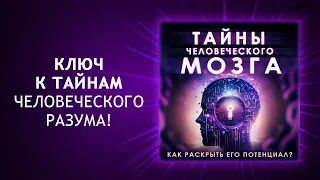 Тайны человеческого мозга. Как раскрыть его потенциал? (Аудиокнига)