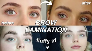 GETTING MY BROWS LAMINATED! | BEFORE & AFTER | FLUFFY LOOK | Conagh Kathleen