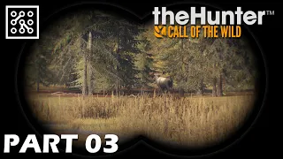 the Hunter: Call of the wild CZ | Vykradený tábor  - Part 03 | Lets play | Česky