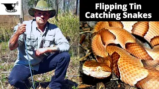 Copperheads Flipping Tin for Snakes in South Carolina | Herping SC