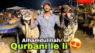 Alhamdulillah Qurbani ka janwar le liya😍😱