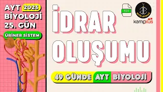 25) İdrar Oluşumu | Üriner (Boşaltım) Sistem 11. Sınıf | YKS 2023 | AYT Biyoloji Kampı 25. Gün