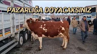 KIRIKKALE HAYVAN PAZARI GÜNCEL FİYATLAR 2. BÖLÜM