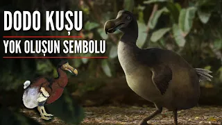 Dodo Kuşları (Yok oluşların sembolü)