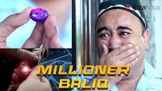 Qalpoq - Millioner baliq