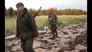 В поисках медведя часть1.