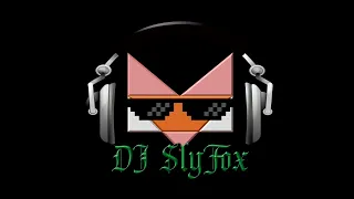 DJ SlyFox Booty Mix (30 mix)