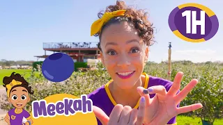 Meekah Visits a Farm and Making Lemon Juice! | 1 HOUR OF MEEKAH! | Educational Videos for Kids