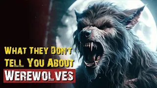 Terrifying Werewolf Creepypasta Tales | 5 Story | Compilation