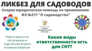 Ликбез для садоводов: виды ответственности в СНТ