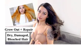 Repairing My Dry, Damaged & Bleached Hair + How To Grow Your Hair Fast 🤦🏻‍♀️💇🏻💁🏻