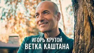 Игорь Крутой - Ветка каштана (официальное видео)