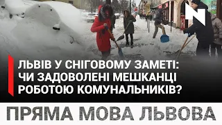 Садовий закликав львів'ян допомагати розчистити місто від снігу. Що про це думають містяни