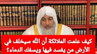 كيف علمت الملائكة أن الله سيخلف في الأرض من يفسد فيها ويسفك الدماء؟الشيخ مصطفى العدوي