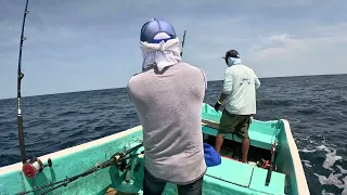 Torneo pez vela Puerto Escondido 2024