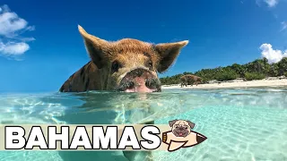 Best Things To Do in The Bahamas | Top Things To Do