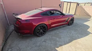MUSTANG GT 5.0 2017 COLDSTART AFTER 15DAYS ......BORLA CATBACK AND XPIPE ..#fordmustang #mustanggt