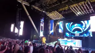 Rabbit in the moon  ultra music festival 2016