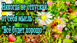 🌷💓 Пусть у Вас  все будет хорошо!🙏🌞Доброго  утра благословенного дня💗красивое музыкальное пожелание