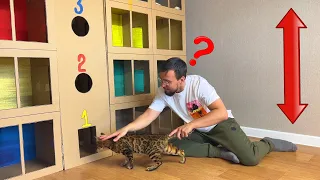ОГРОМНЫЙ ДОМ с лифтом для кошки 🐈 из картона своими руками