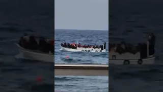 H στιγμή που η βάρκα με τους 56 μετανάστες μπαίνει στο λιμανάκι του Golden Coast