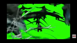 green screen crow effects