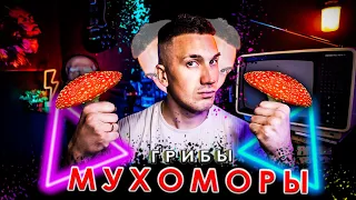 Мухоморный Бум. Культура и Психология Северной Мистерии | Аудиокассеты