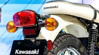 New 2024 Kawasaki W230, Close Look