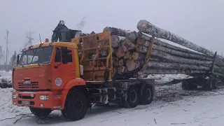 ООО "Чичкаюльский леспромхоз"