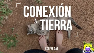 Conexión a Tierra 👣🌿✨