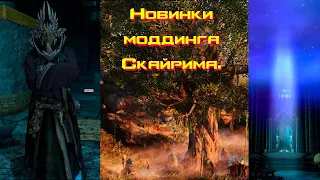 Новинки моддинга Скайрима. Выпуск 1.