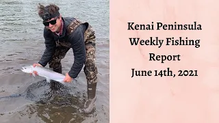 Kenai Peninsula Weekly Fishing Report | June 14th, 2021